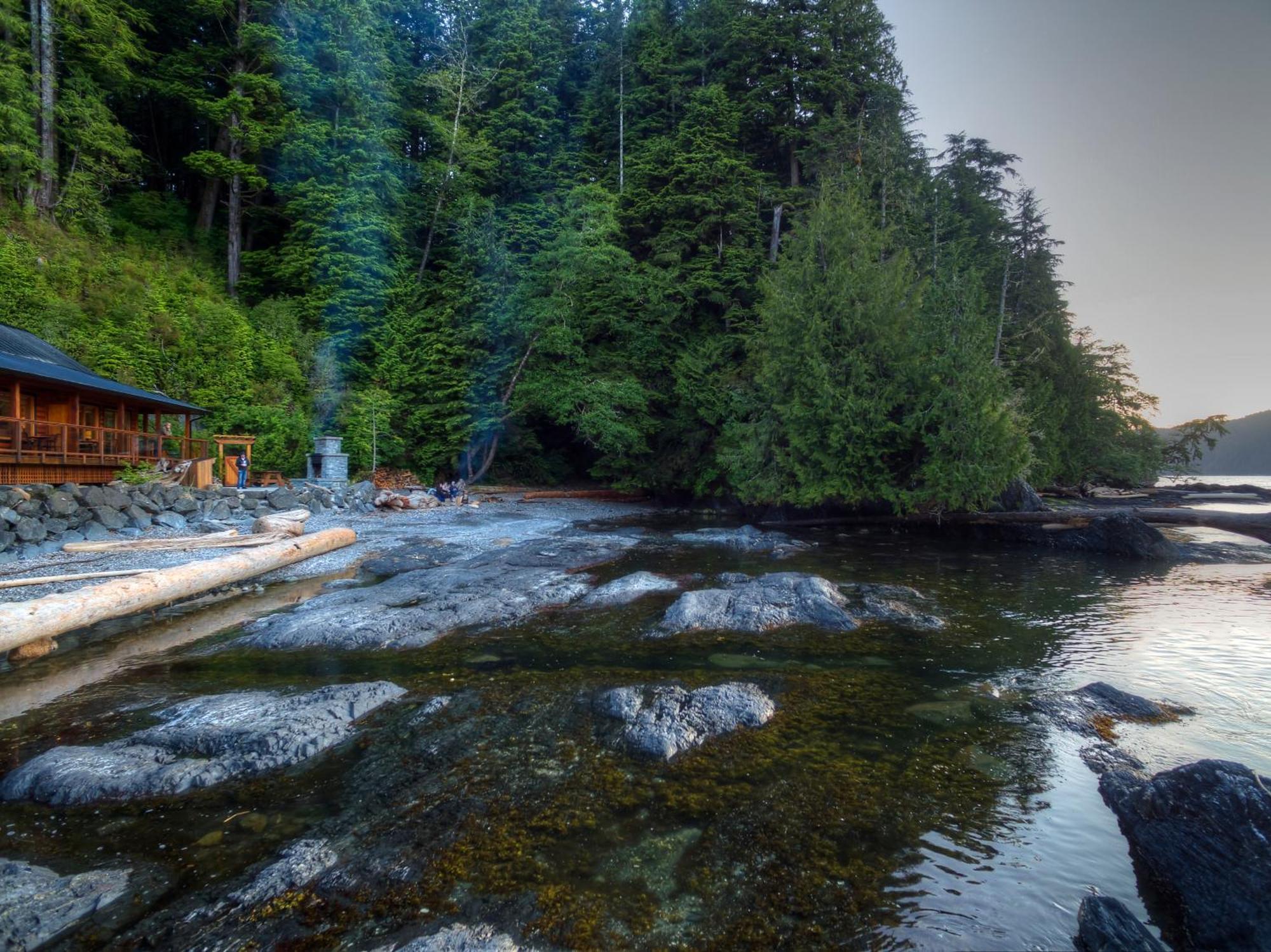 Wild Renfrew Seaside Cottages Port Renfrew Rum bild