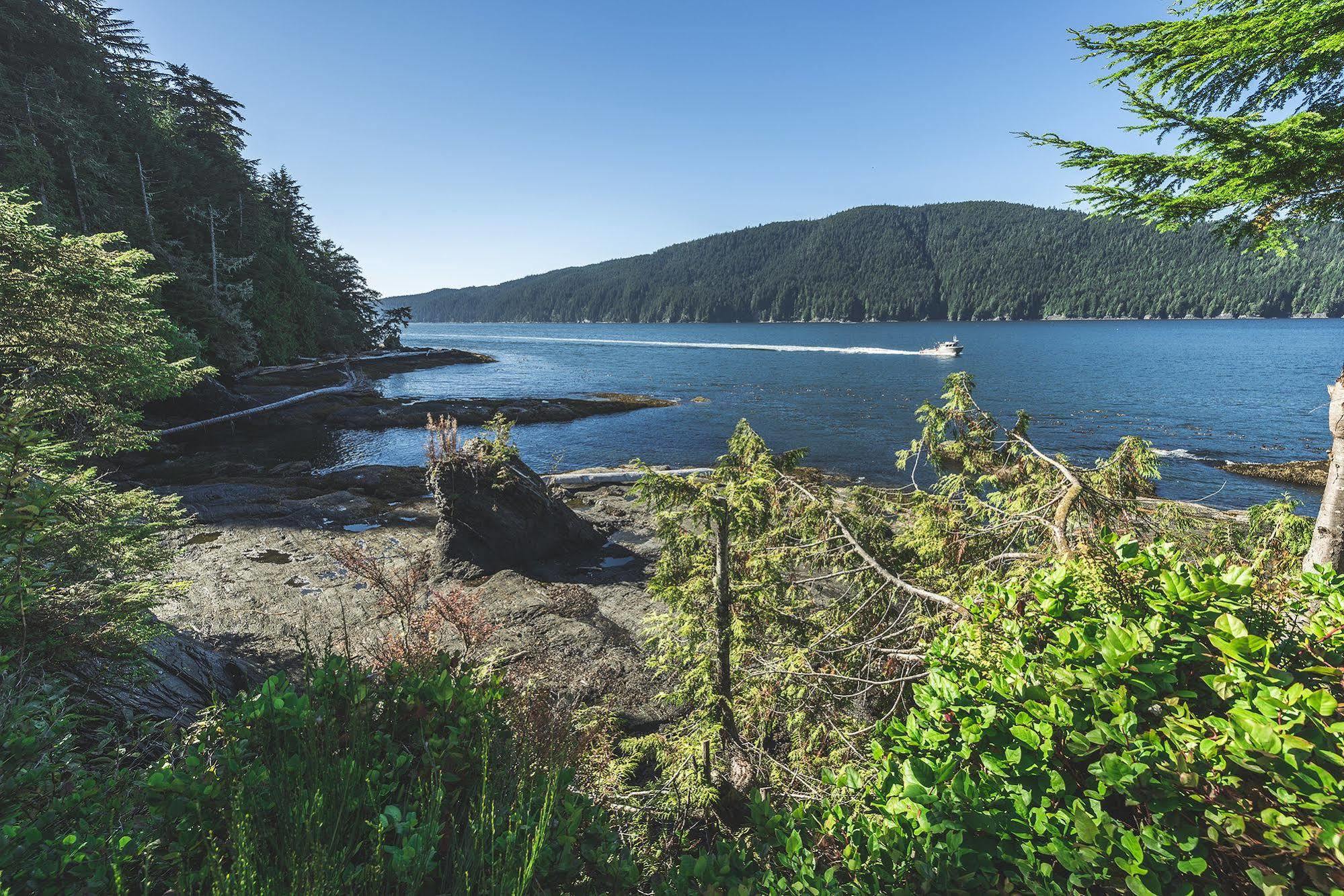 Wild Renfrew Seaside Cottages Port Renfrew Exteriör bild